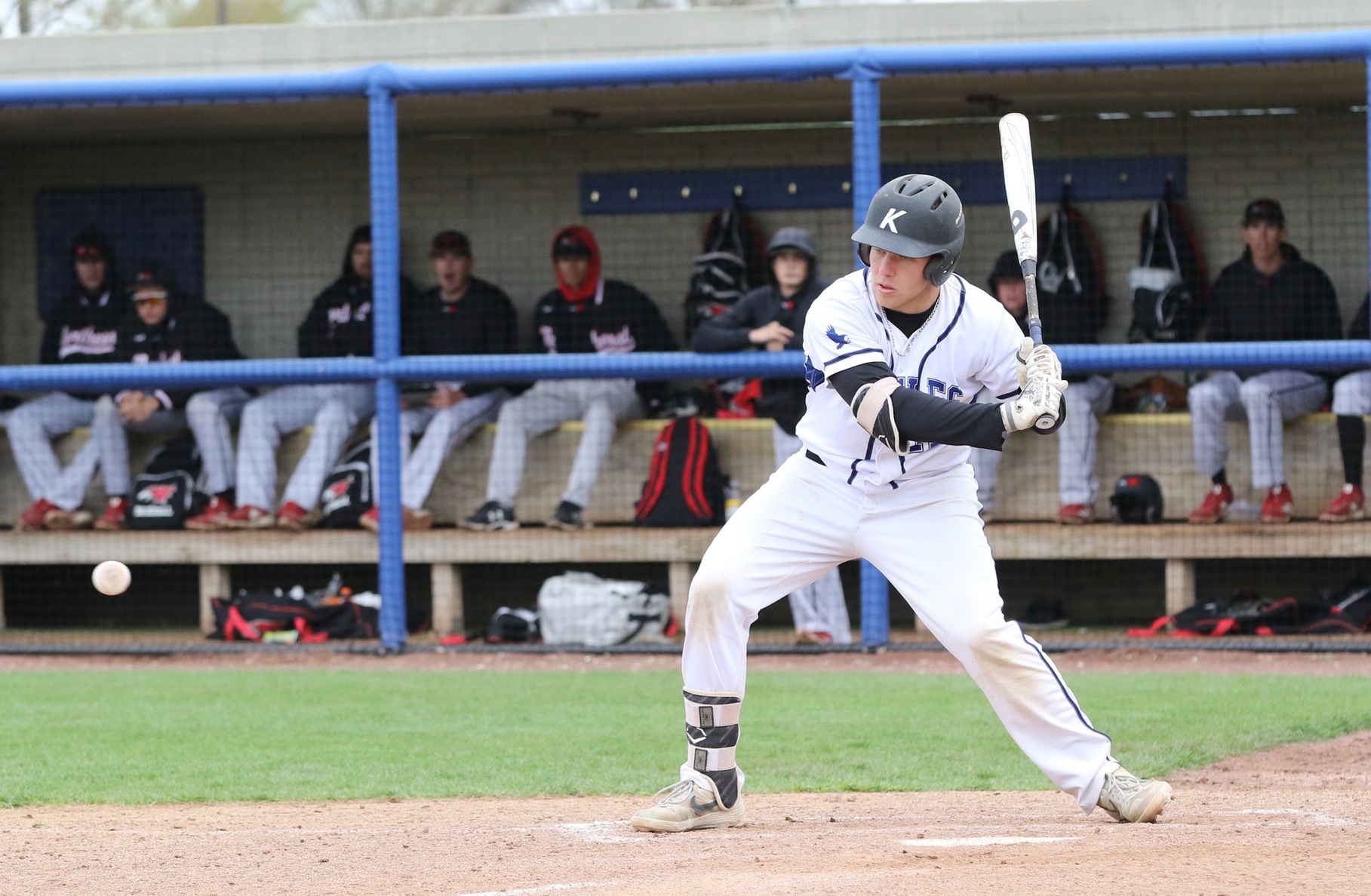 Youngquist helps Eagles gain split